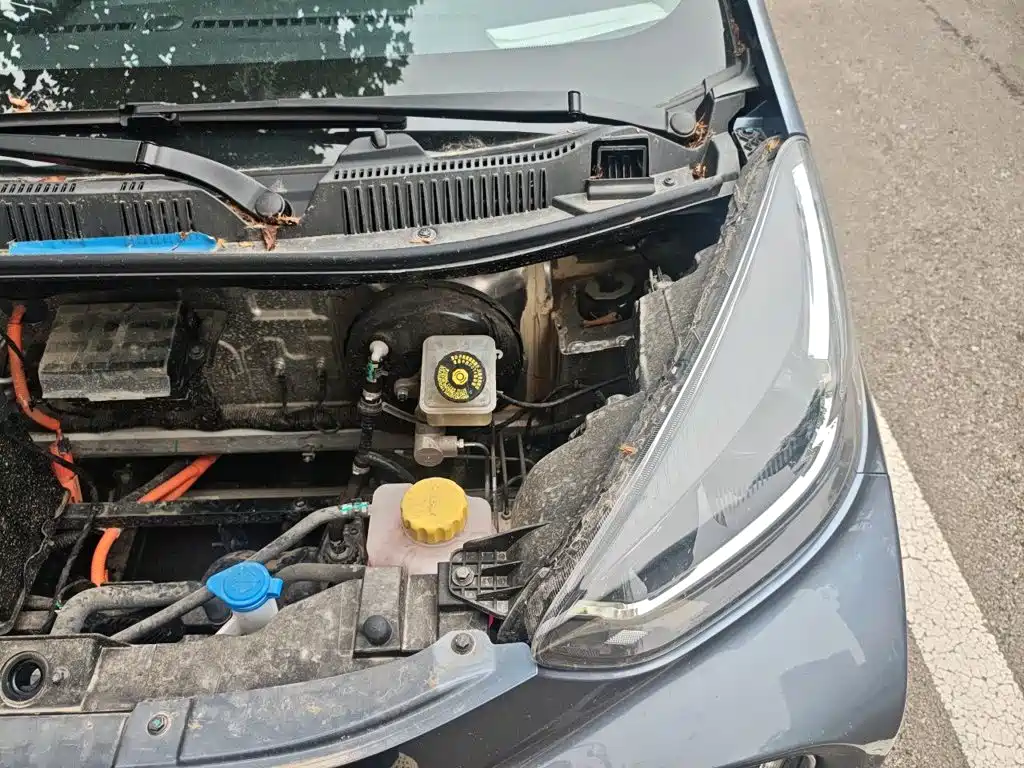 QQ New Energy Little Ant 2025 2024 251km Passion Edition