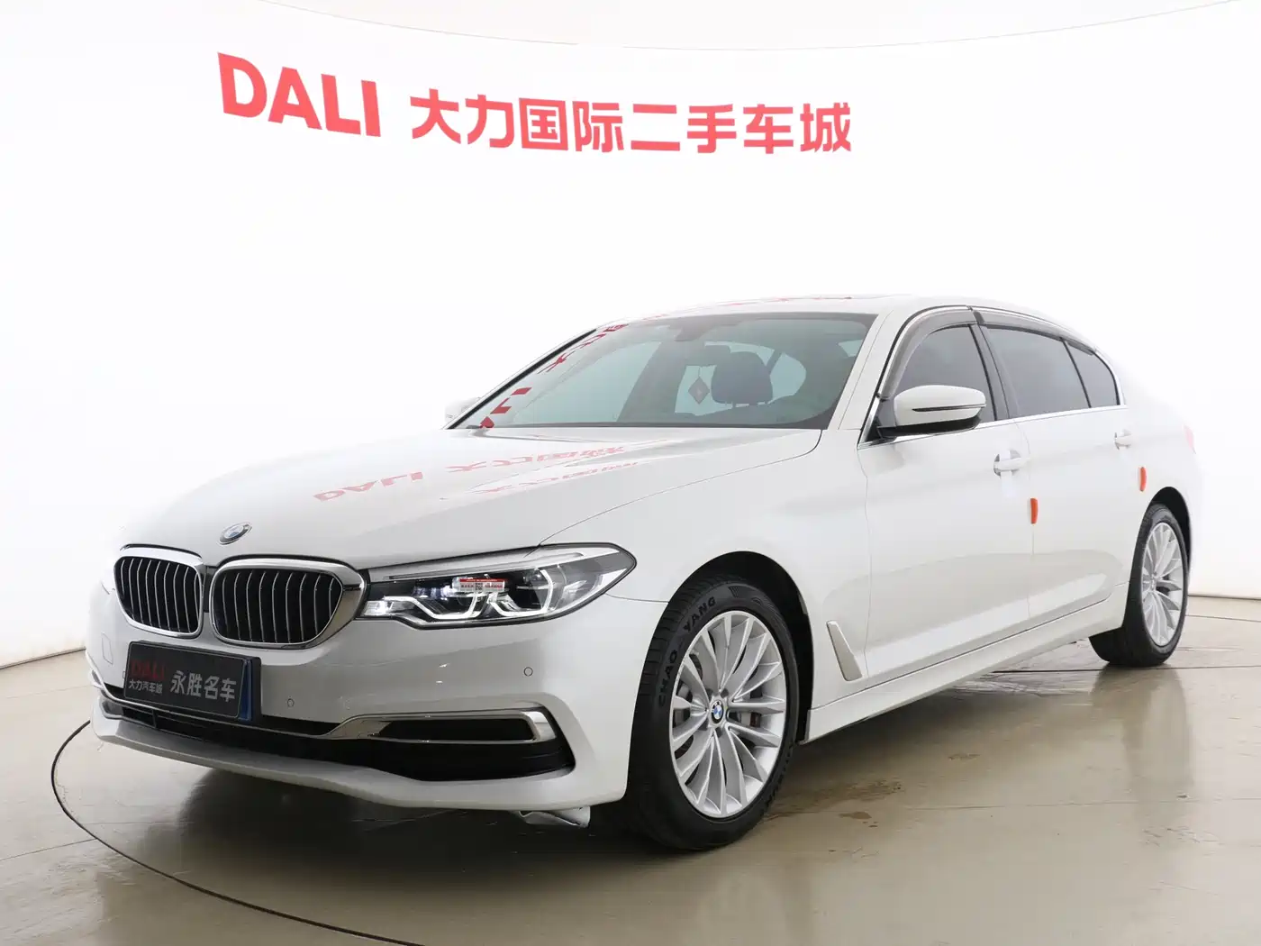 BMW 5 Series 2020 530Li Leading Luxury Package