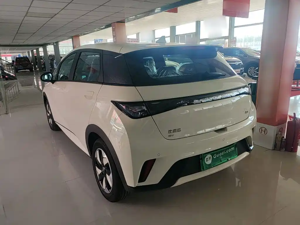 BYD Dolphin 2026 2025 420km Freedom Edition