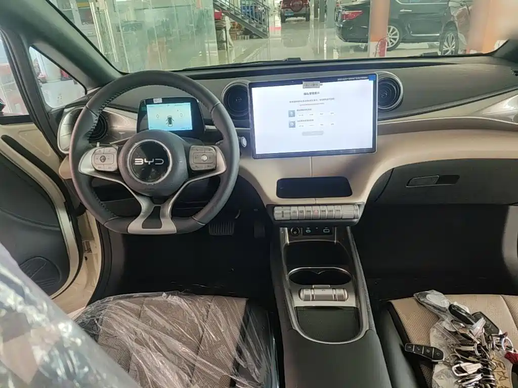 BYD Dolphin 2026 2025 420km Freedom Edition