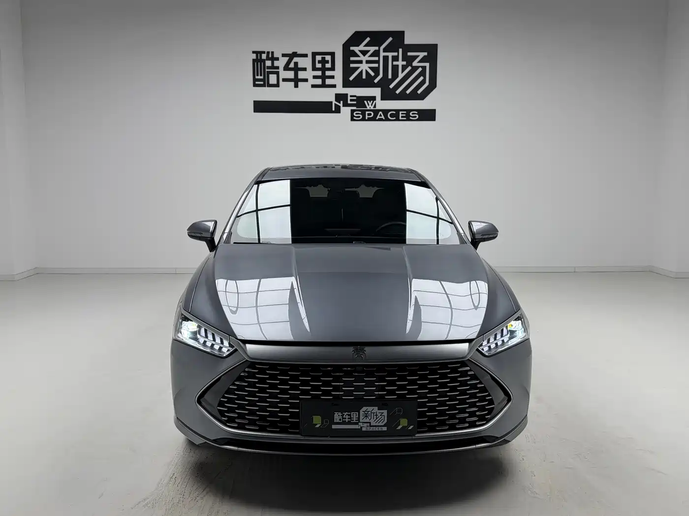 BYD Qin PLUS 2023 Champion Edition DM-i 55KM Leading фото 2