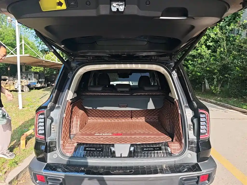 Haval Big Dog 2021 1.5T DCT 2WD Malinois Edition фото 15