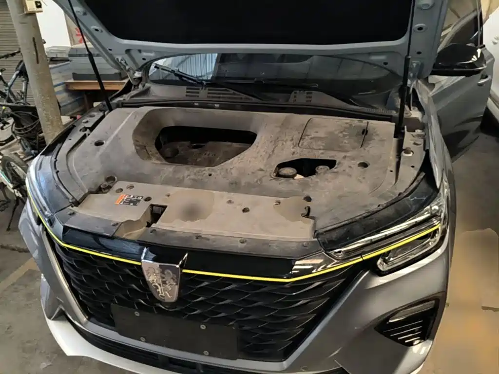Фото 20 - Roewe RX5