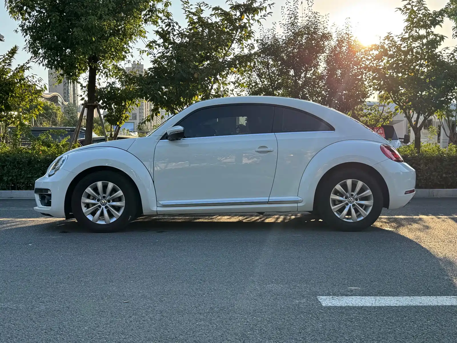 Photo 5 - Volkswagen Beetle