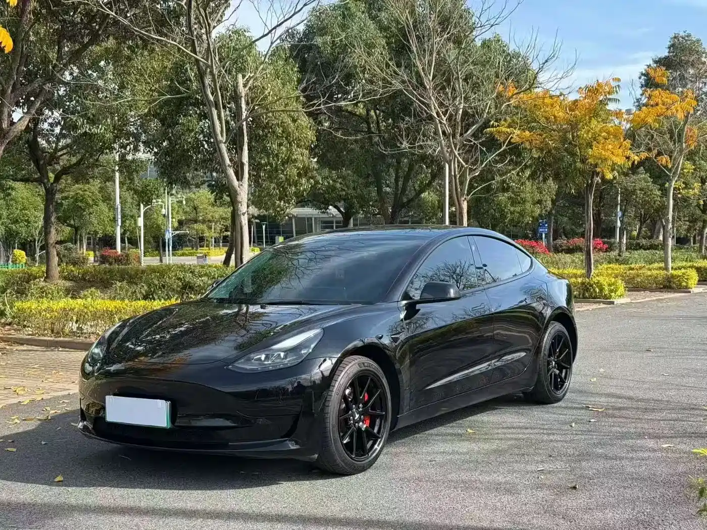 TESLA MODEL 3