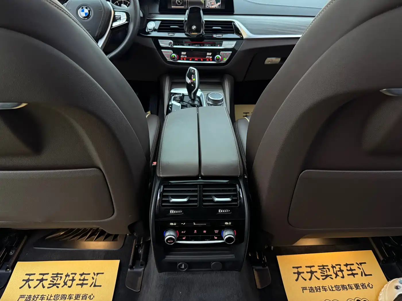 BMW 5 Series 2019 530Li Leading Luxury Package фото 14
