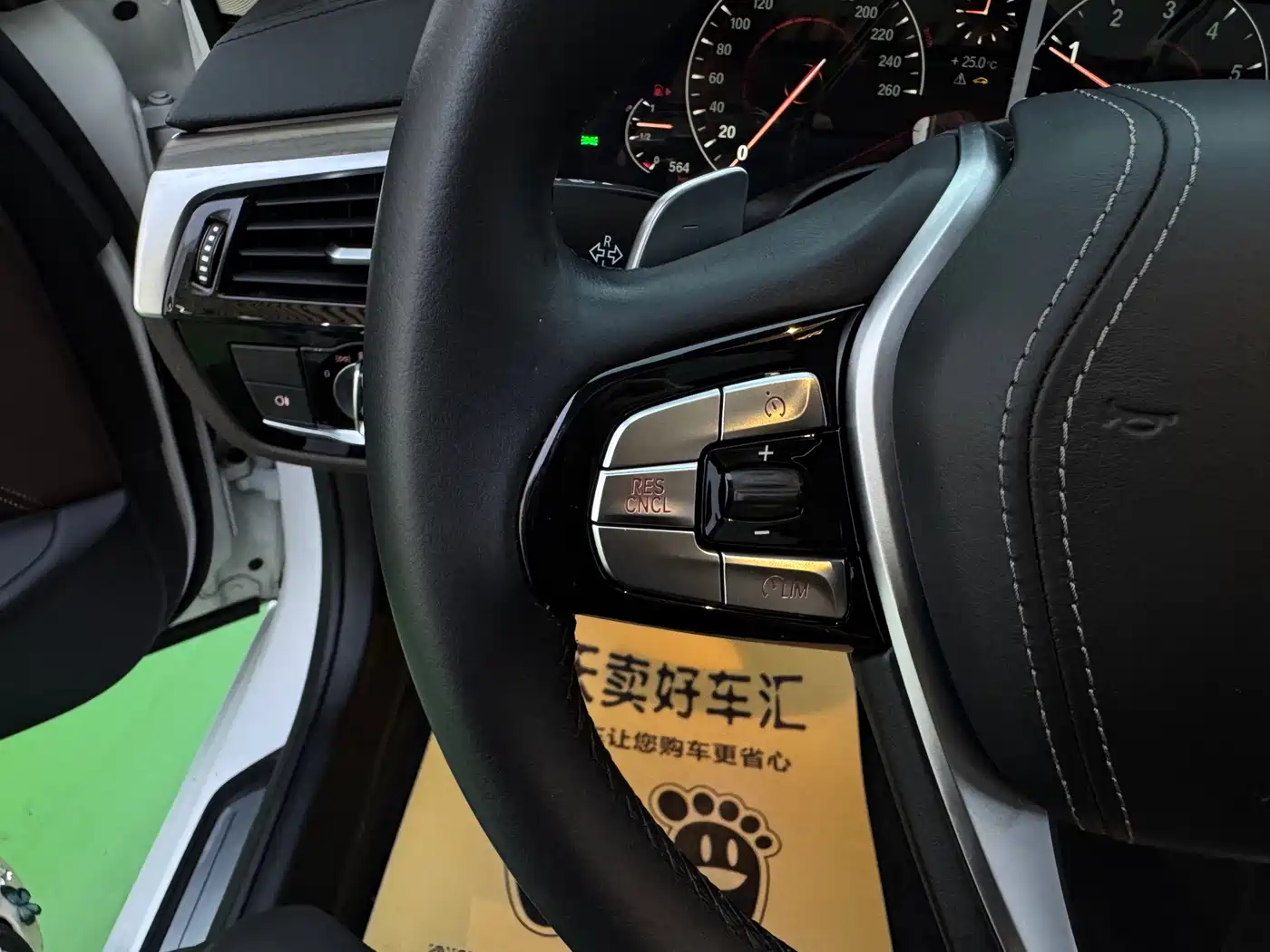 BMW 5 Series 2019 530Li Leading Luxury Package фото 18