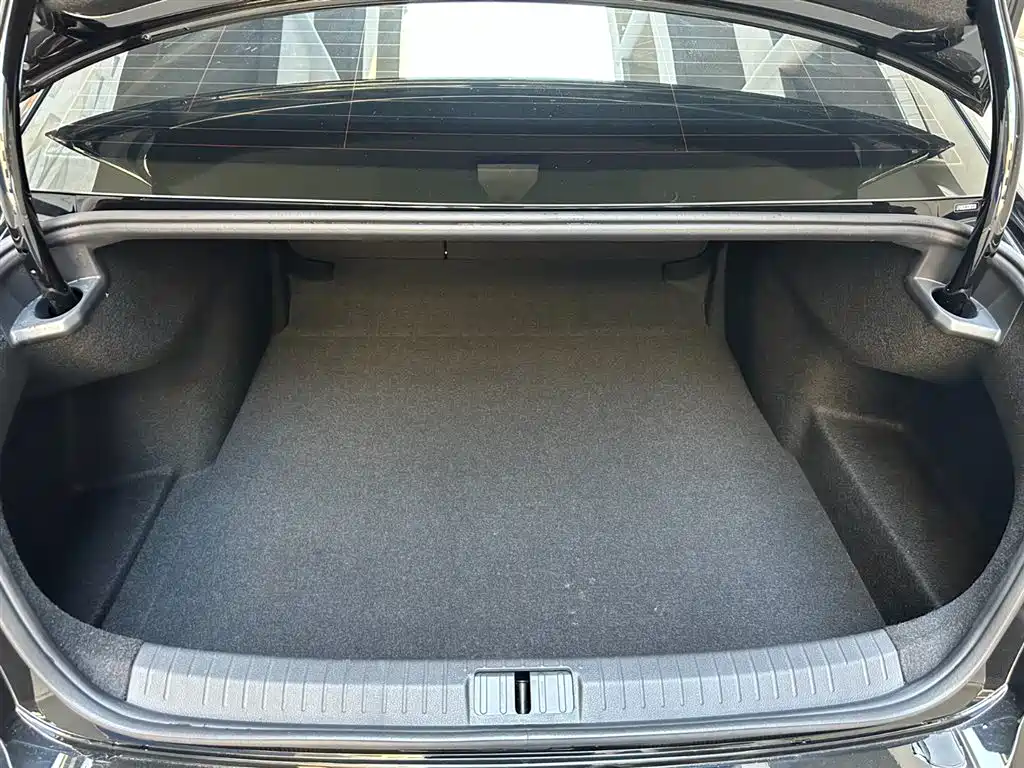Volkswagen Magotan 2025 Facelift Public Edition 330TSI DSG Luxury фото 8