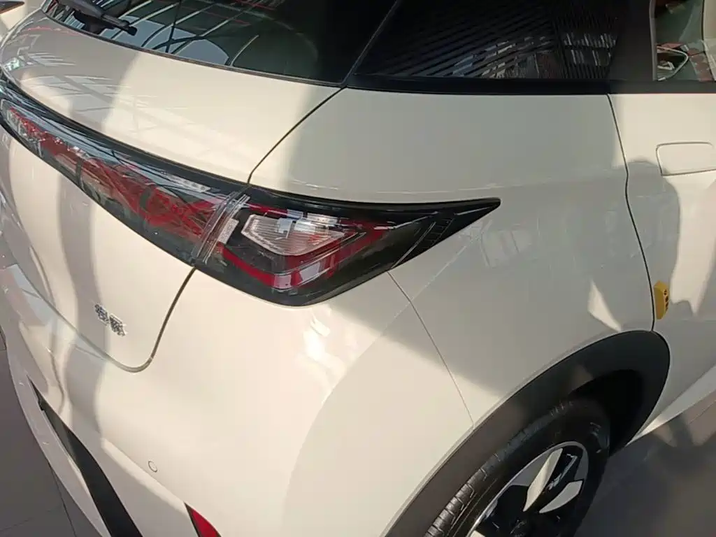 BYD Dolphin 2026 2025 420km Freedom Edition
