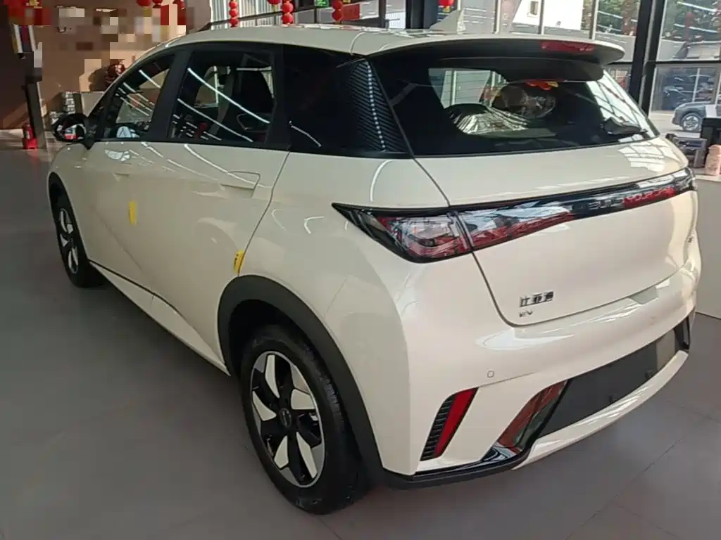 BYD Dolphin 2026 2025 420km Freedom Edition