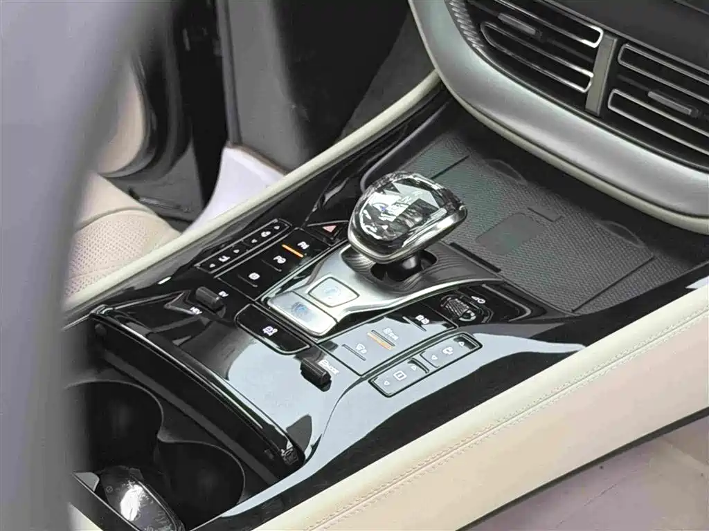 Denza D9 2025 2024 PIONEER 4-Seater Pioneer Edition