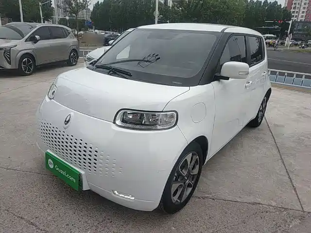 Ora White Cat 2022 Upgraded 305km Luxury (NMC)