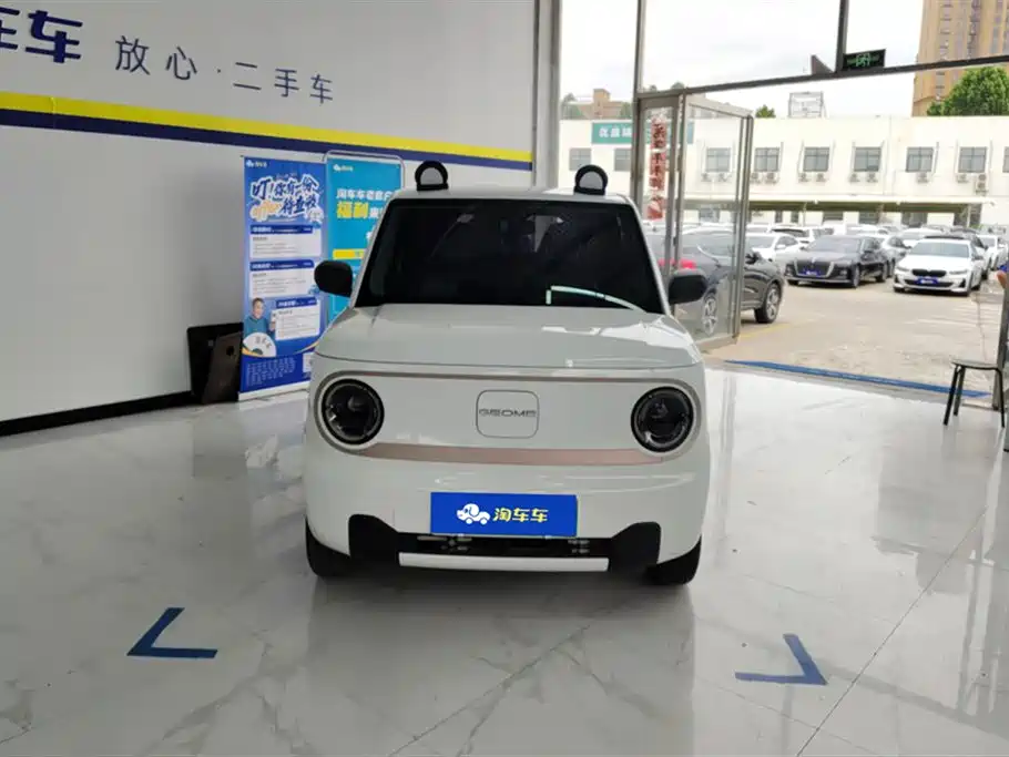 Geely Galaxy Panda 2023 Panda Mini 200km Endurance Bear фото 2
