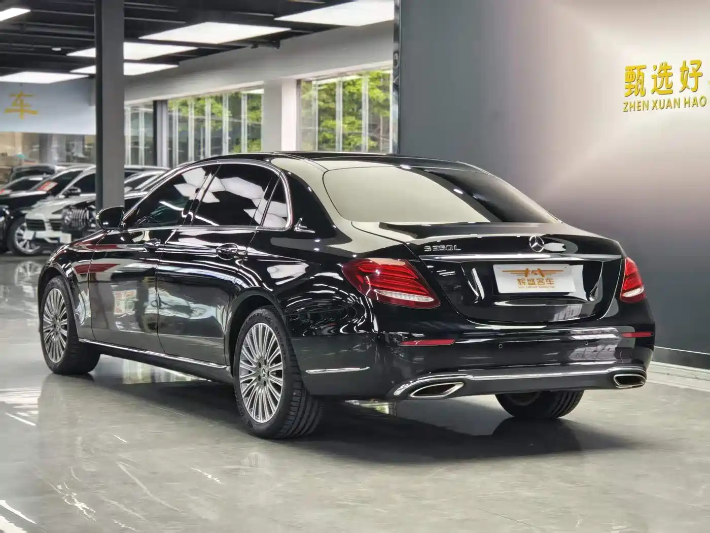 Mercedes-Benz E-Class 2020 E 300 L Luxury Model фото 4