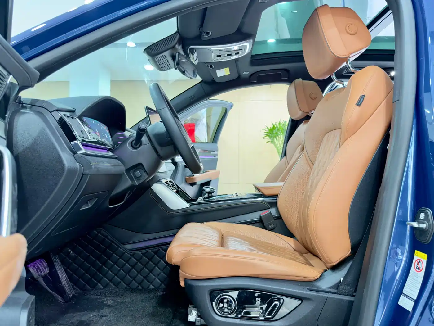 BYD Tang New Energy 2022 DM-p 215KM AWD Executive фото 10