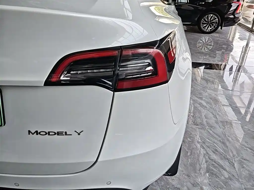 Tesla Model Y 2021 2021 Long Range All-Wheel Drive 3D7
