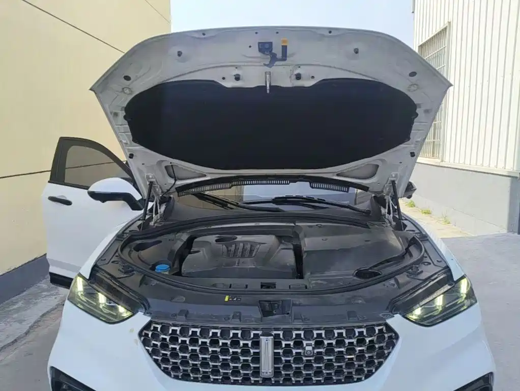 WEY VV7 2021 2020 2.0T Super Luxury