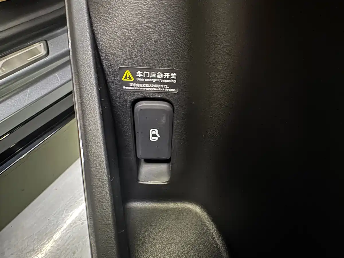 BYD Song L EV 2025 Smart Drive 550km Excellence фото 28