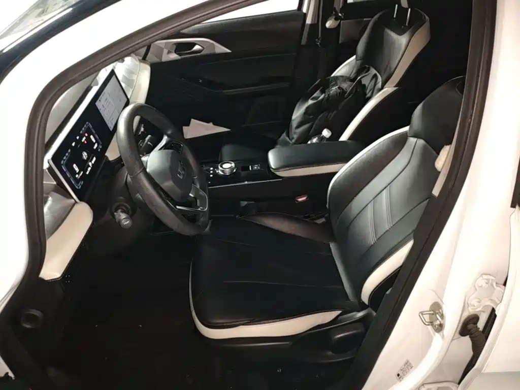 Geely Geometry E Firefly 2023 2023 401KM Linglong Tiger 5-Seater