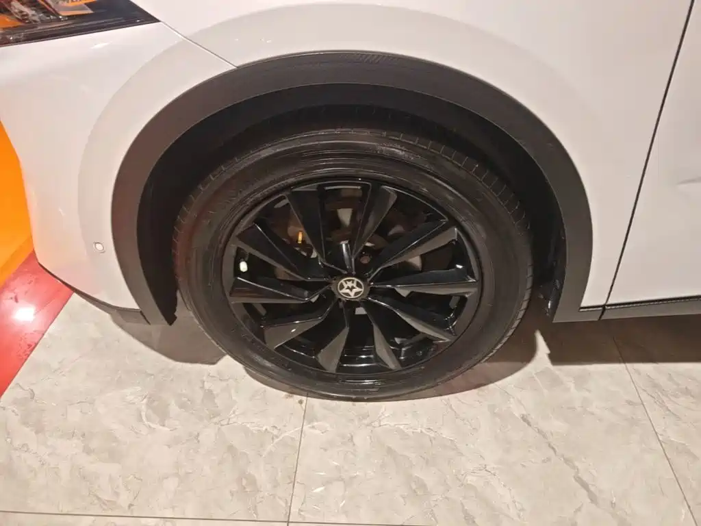 Venucia Big V 2022 2021 260T King Edition