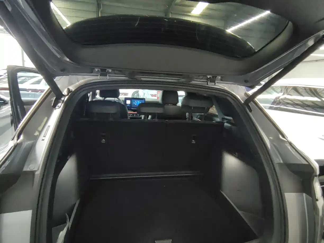 BYD Song L DM-i 2025 Smart Drive Edition 112km Surpassing фото 21
