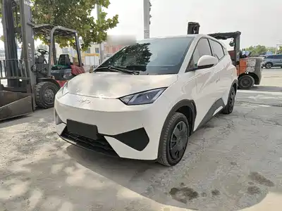 BYD Seagull