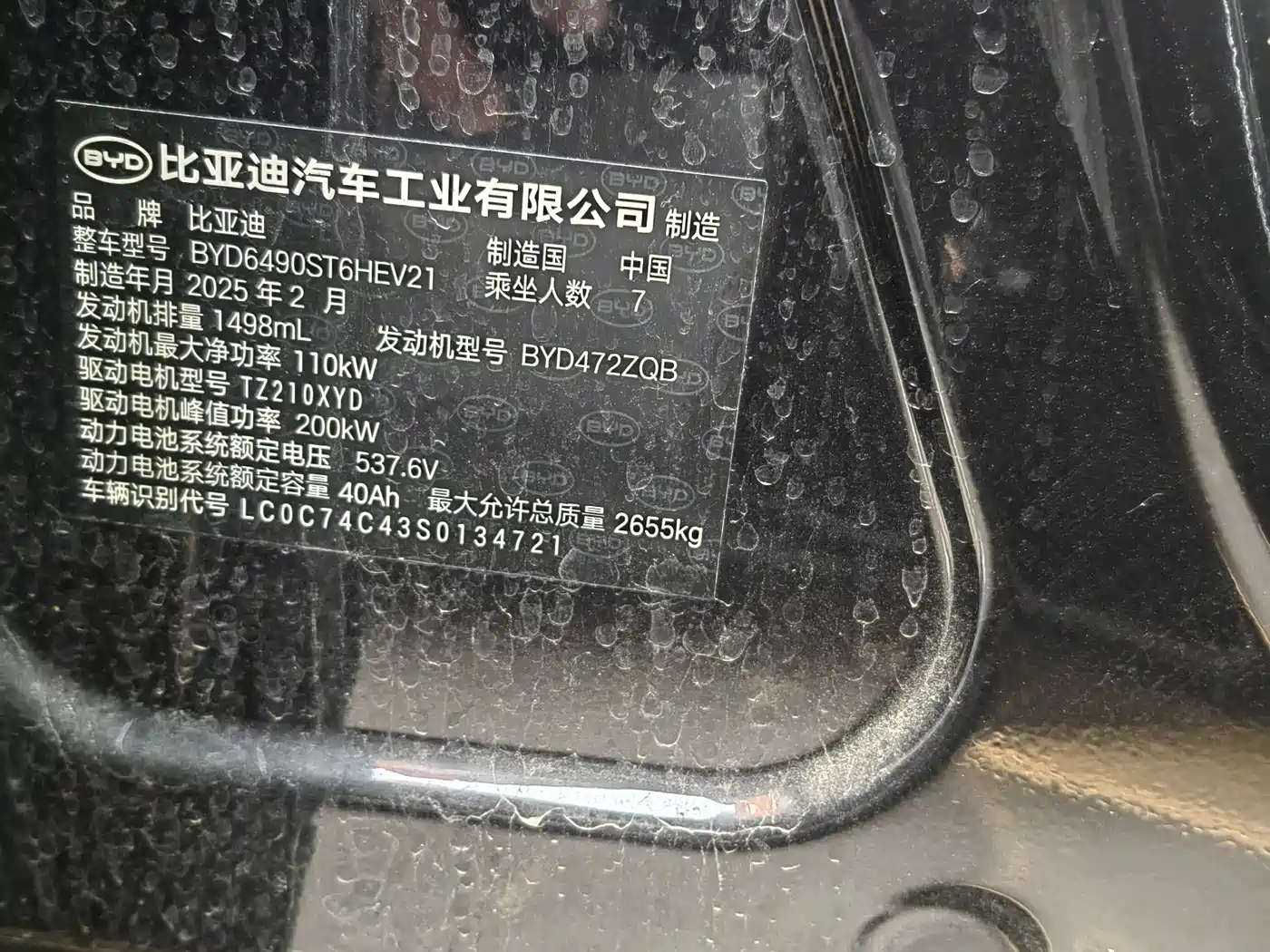 BYD Tang New Energy 2025 Smart Driving Edition DM-i 115KM Flagship фото 12