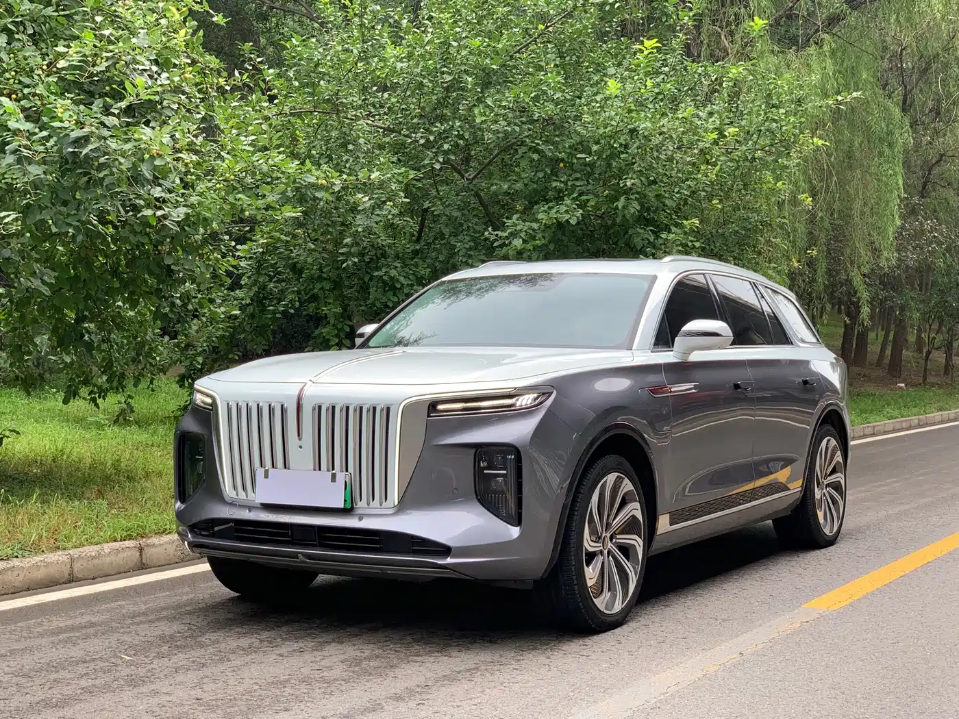 Hongqi E-HS9 2023 2022 660km Qi Ling Edition (4-seater)