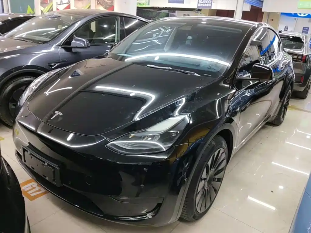 Tesla Model Y 2022 Rear-Wheel Drive Version