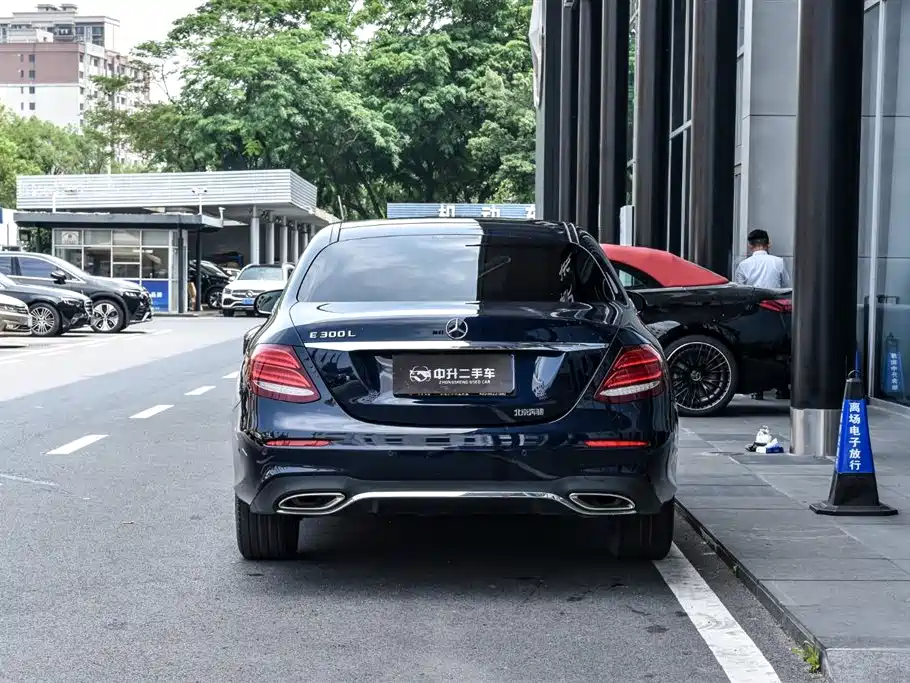 Mercedes-Benz E-Class 2019 Facelift E 300 L Sport Fashion фото 3