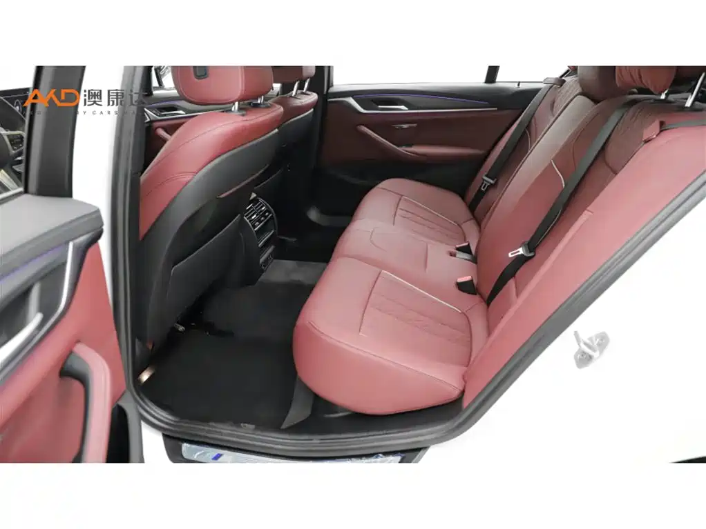 BMW 5 Series 2021 Facelift 530Li Leading M Sport Package фото 7