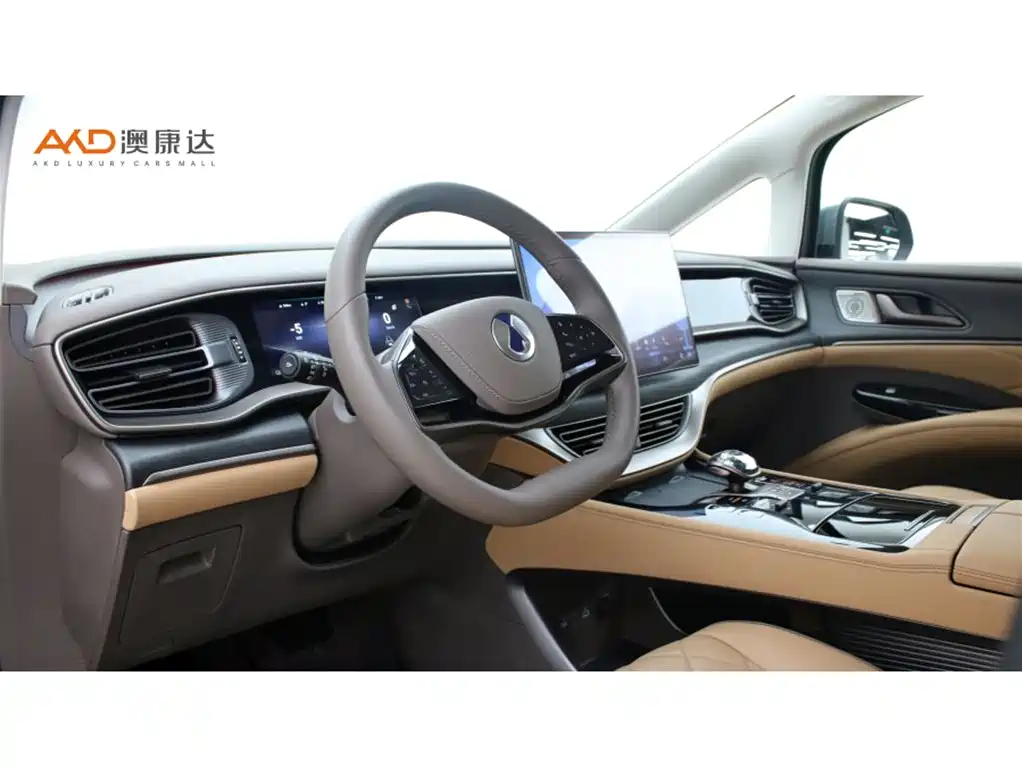 Denza D9 2022 DM-i 970 AWD Flagship фото 6