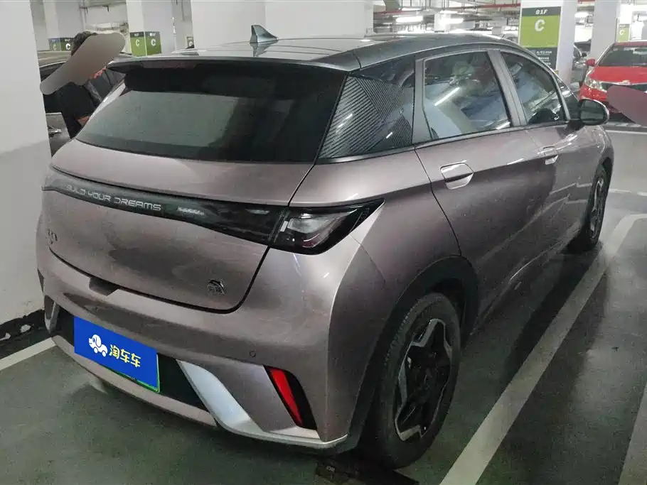 BYD Dolphin 2021 Model 405km Fashion Edition фото 3