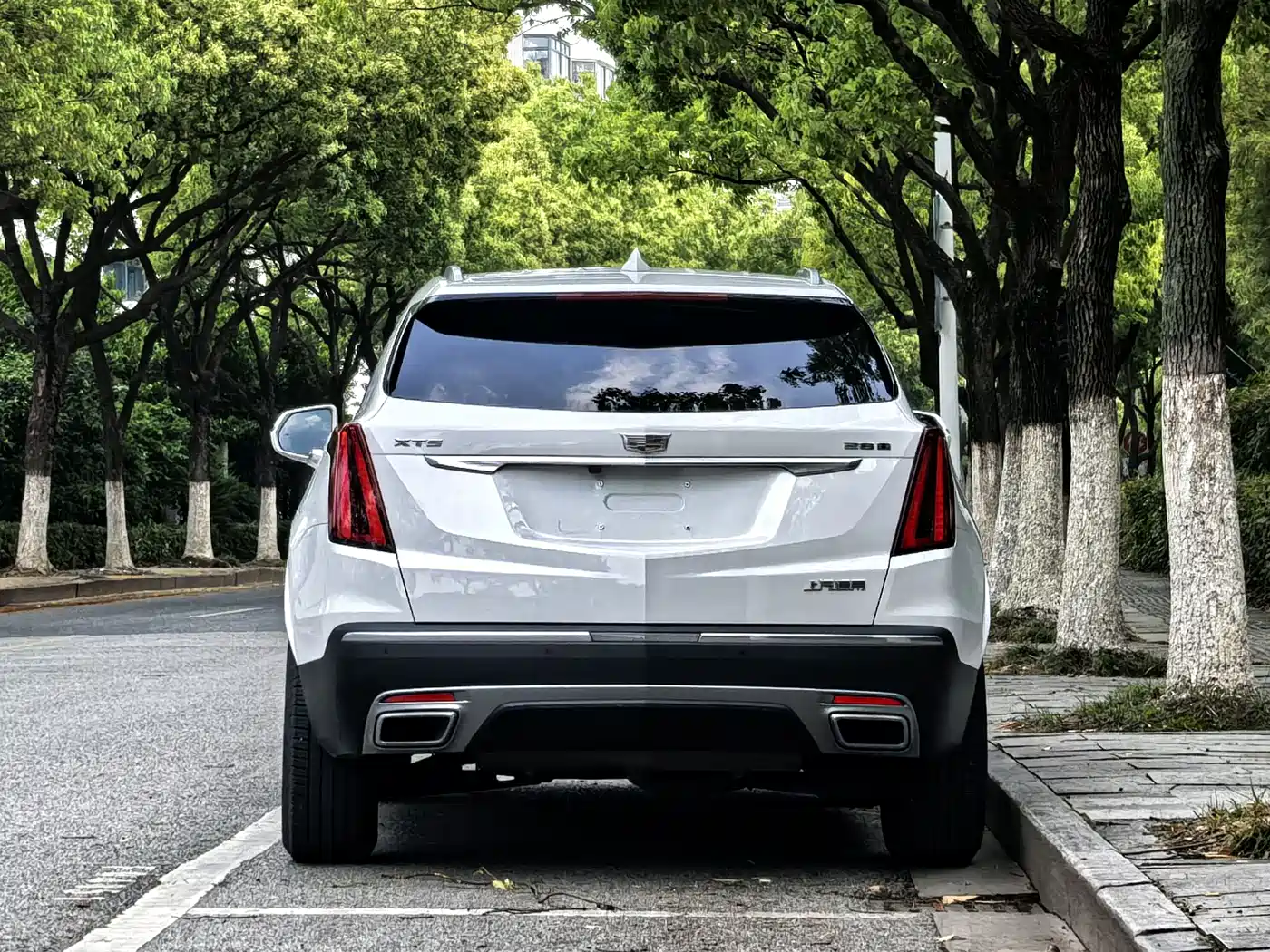 Cadillac XT5 2021 28T Luxury фото 13
