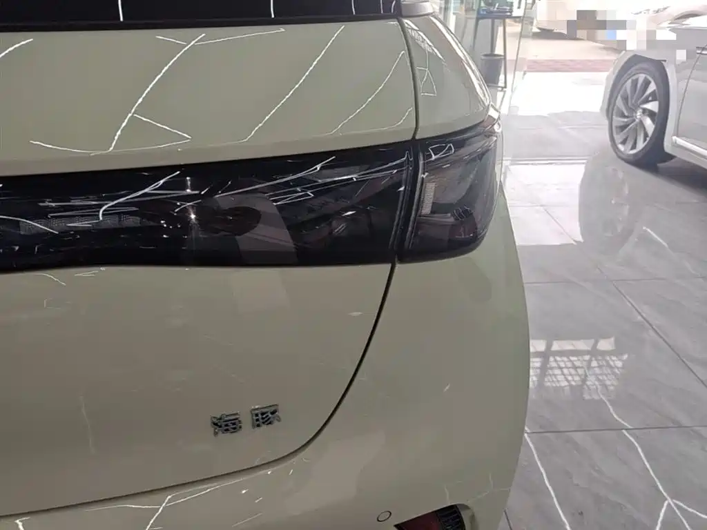 BYD Dolphin 2025 420km Freedom Edition фото 21