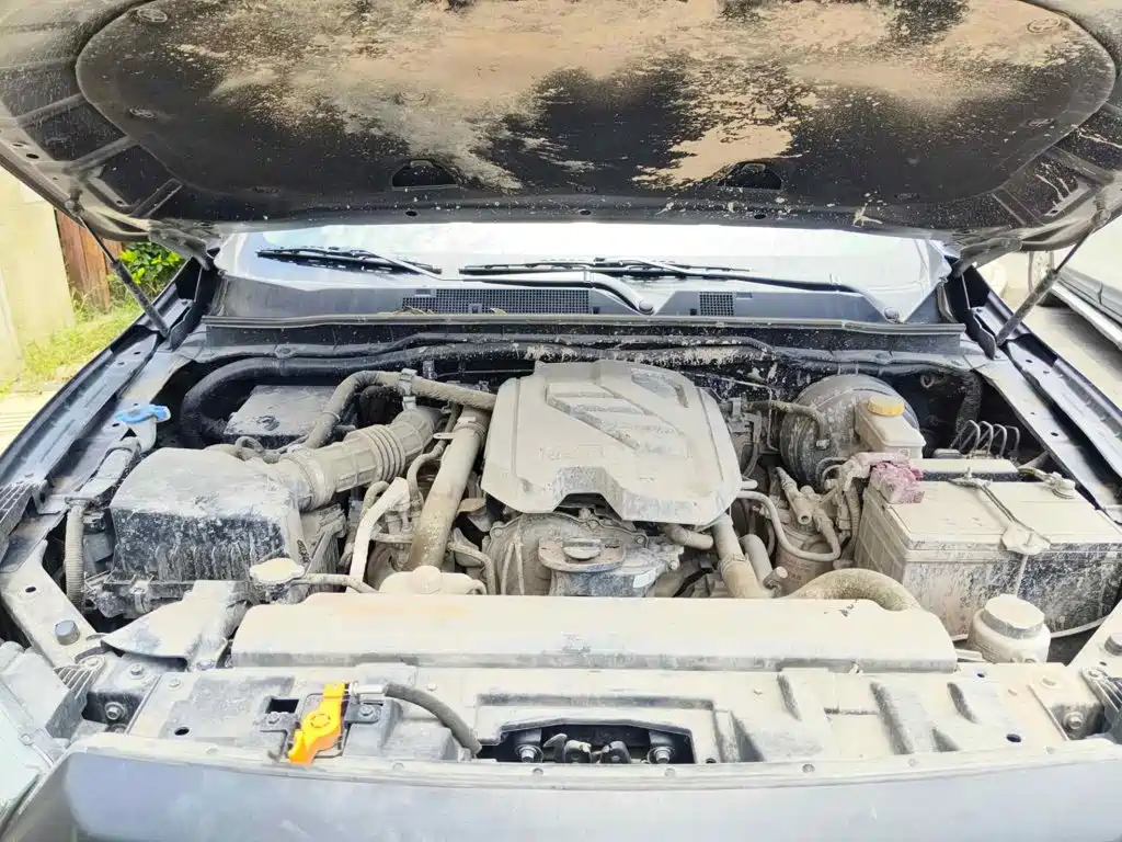 2025 Dongfeng Rich 6 Pro