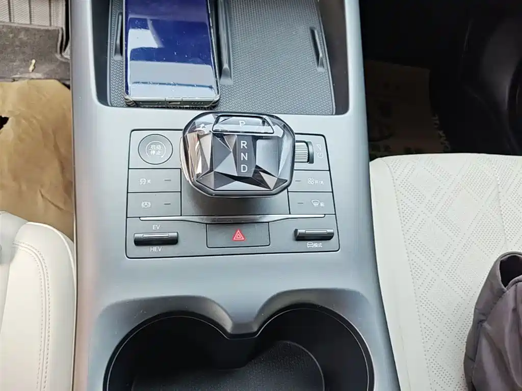 BYD Qin PLUS 2025 DM-i Smart Drive 55KM Leader фото 14