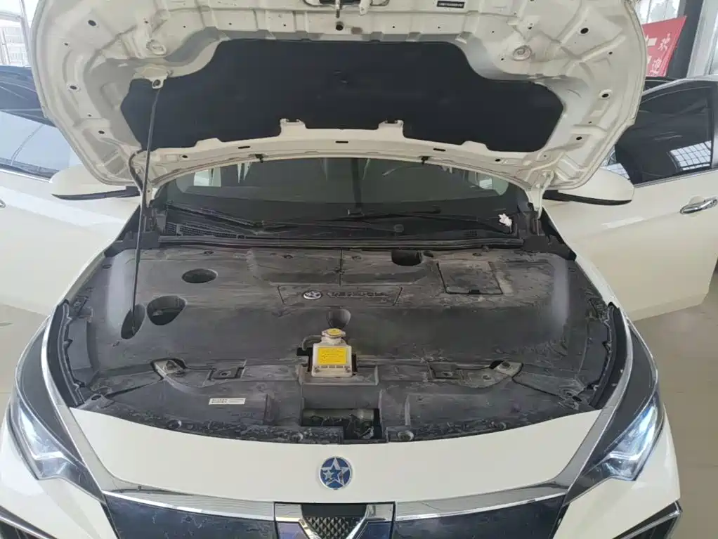 Venucia D60EV 2022 2020 Standard Range Smart Edition