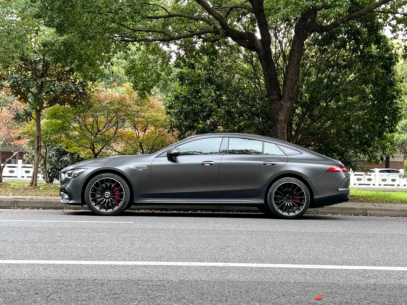 Mercedes-Benz AMG GT 2019 AMG GT 50 4-Door Coupe фото 6
