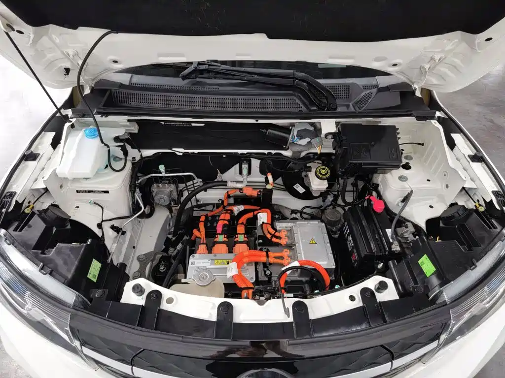 Dongfeng Yipai Dongfeng Nano EX1 2022 2021 Quality Spirit Edition