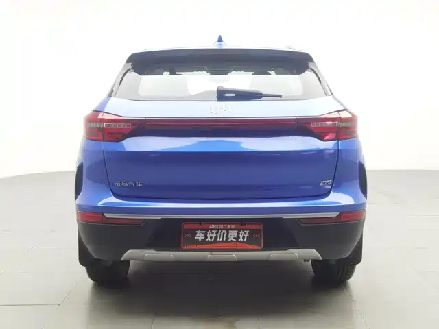 Weltmeister EX5 2018 EX5 400 Extra Innovation Edition — фото 4