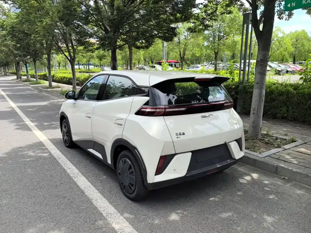 BYD Seagull 2026 2025 Smart Drive Edition 305km Vitality Version