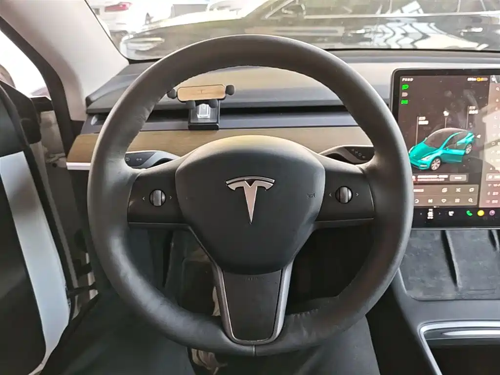 Tesla Model Y 2021 2021 Long Range All-Wheel Drive 3D7