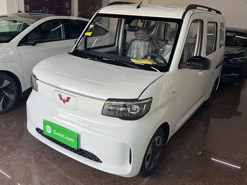 Wuling Motors Wuling Zhiguang NEV 2025 Model 305km Base Version
