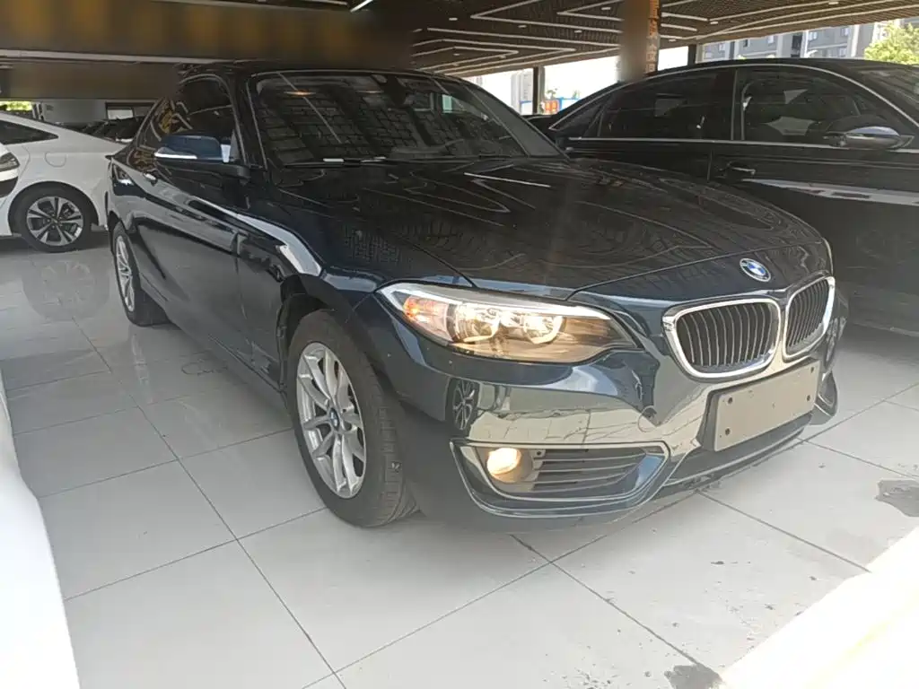 BMW 2 Series (Import) 2016 2015 218i