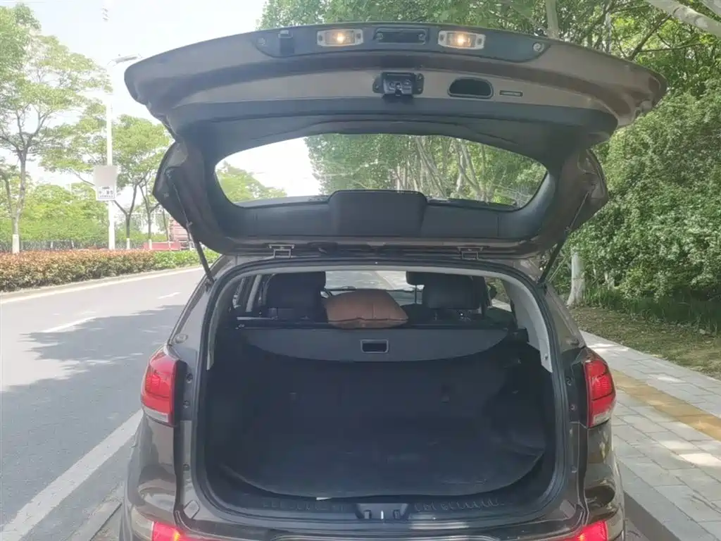Kia Sportage 2015 2.0L Automatic 2WD DLX фото 19
