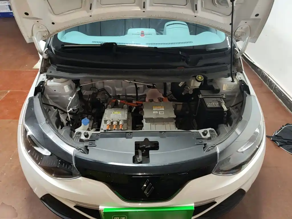 JMCG New Energy Little Kirin 2025 2024 201km Comfort Model