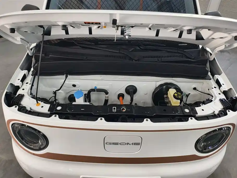 Geely Galaxy Panda 2024 Panda mini 200km Endurance Bear фото 10
