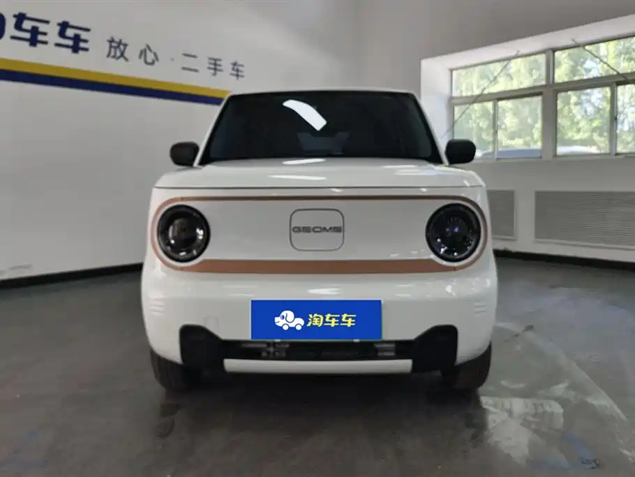 Geely Galaxy Panda 2024 Panda mini 200km Endurance Bear фото 2