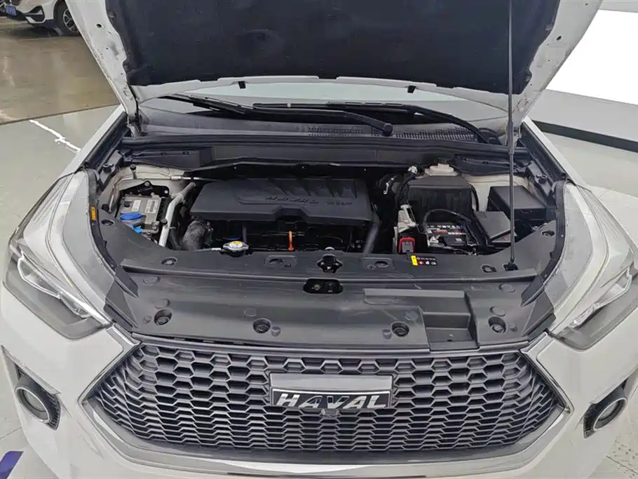 Haval H6 Coupe 2019 1.5T Automatic 2WD Luxury Smart Connect Edition China V фото 10